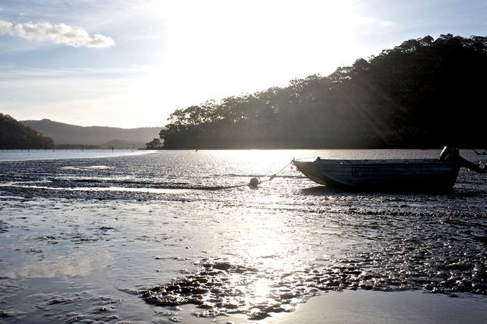 Low Tide 1